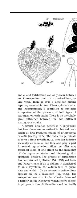 Introduction to Fungi, Third Edition