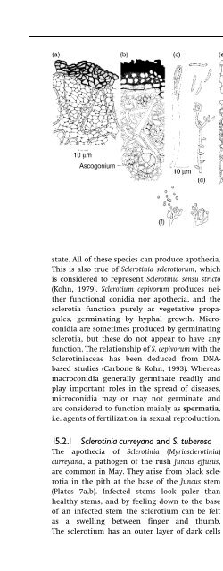 Introduction to Fungi, Third Edition