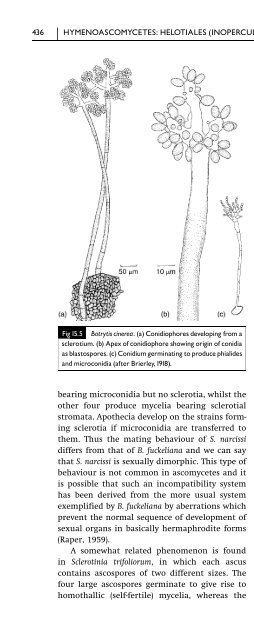 Introduction to Fungi, Third Edition