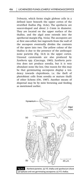 Introduction to Fungi, Third Edition