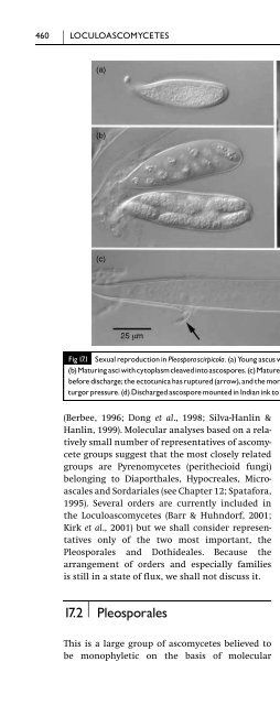 Introduction to Fungi, Third Edition