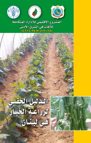 الدليل الحقلي لزراعة الخيار في لبنان-Cucumber field guide