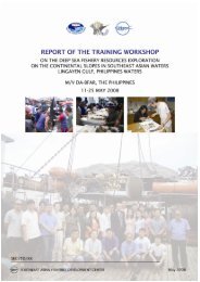 Report of the Training Workshop on the Deep Sea ... - SEAFDEC