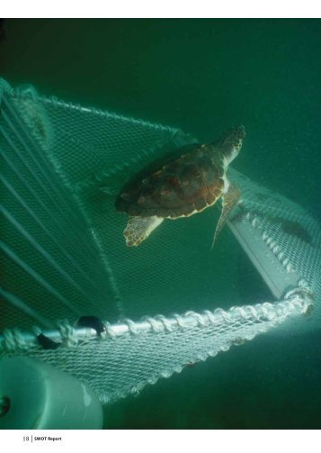 18 | SWOT Report - The State of the World's Sea Turtles
