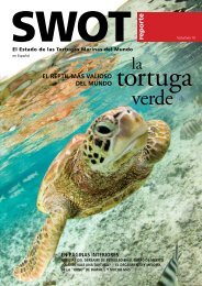 reporte - The State of the World's Sea Turtles