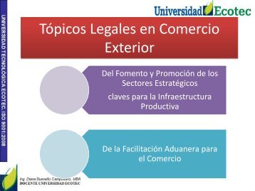 TÃ³picos Legales en Comercio Exterior