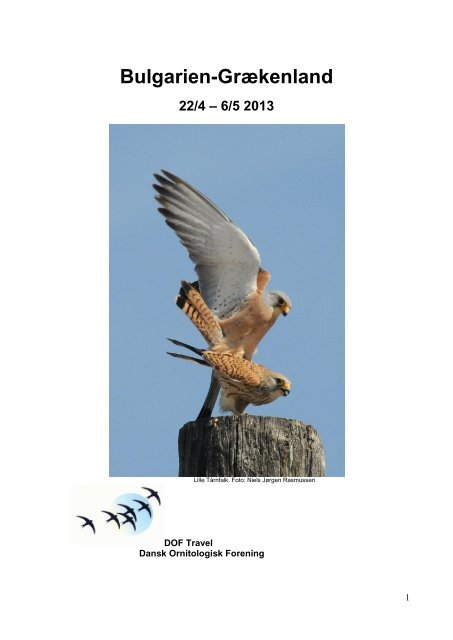 13-07-14 Bulgarien-Grækenland Rapport.pdf DOF Travel