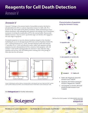 Reagents for Cell Death Detection Annexin V - BioLegend