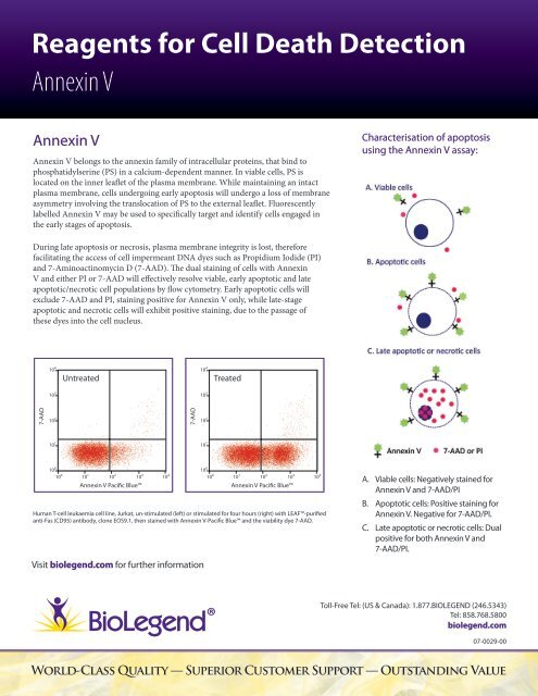 Reagents For Cell Death Detection Annexin V - BioLegend