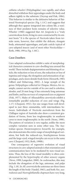 Cockroache; Ecology, behavior & history - W.J. Bell