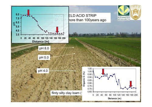 Soil priming effects following biochar incorporation - International ...