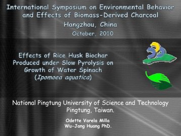 Effects of Rice Husk Biochar Produced under Slow Pyrolysis on ...