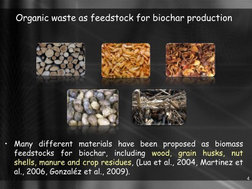 Effects of Rice Husk Biochar Produced under Slow Pyrolysis on ...