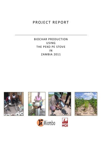 Zambia in 2011 - International Biochar Initiative
