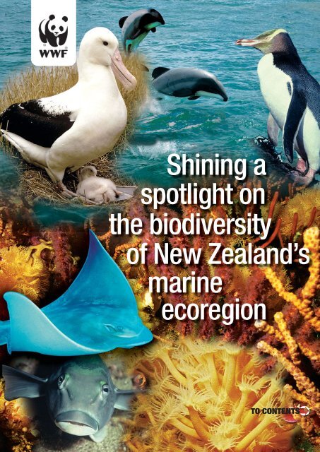 WWF Shining a spotlight on the biodiversity of ... - MarineNZ.org.nz