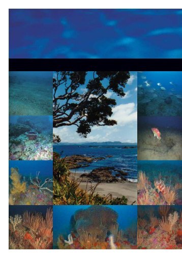 Mimiwhangata Marine Reserve Proposal (pdf) - MarineNZ.org.nz