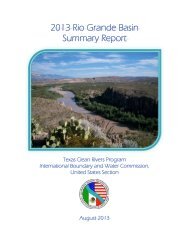 2013 Rio Grande Basin Summary Report - International Boundary ...