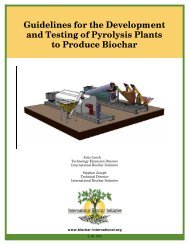 Guidelines for the Development and Testing of Pyrolysis Plants to ...