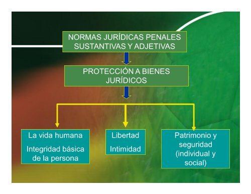 Derecho Procesal Penal en Gotitas