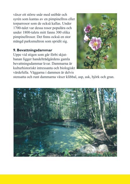 Natur- och kulturvandring i Grimsta naturreservat - Traneving