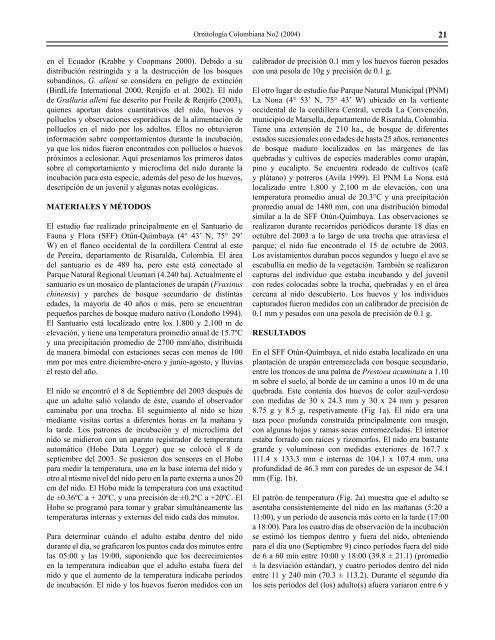19 notas sobre la anidaciÃ³n del tororoi bigotudo (grallaria alleni)