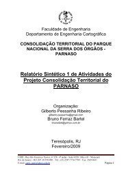 RelatÃ³rio SintÃ©tico 1 de Atividades do Projeto ... - Georeferencial