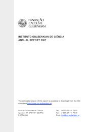 INSTITUTO GULBENKIAN DE CIÃŠNCIA ANNUAL REPORT 2007
