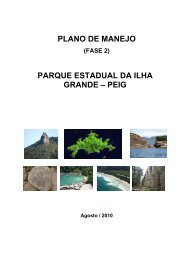 plano de manejo parque estadual da ilha grande - Georeferencial