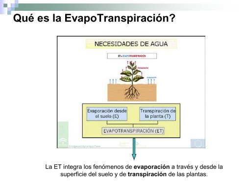 EVAPOTRANSPIRACIÓN - Unidad de Ciencias de la Atmósfera