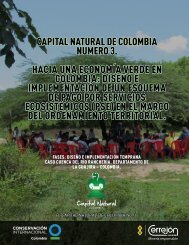 capital natural de colombia numero 3. hacia una economÃ­a verde en ...