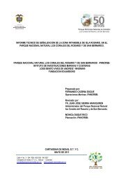 informe final rosario pnncrsb - ConservaciÃ³n Internacional | Colombia