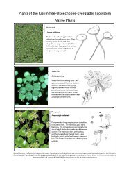 Plants of KOE Watershed - Florida Center for Environmental Studies