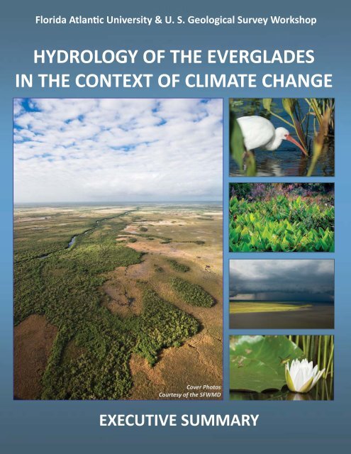 Executive Summary - Florida Center for Environmental Studies - Fau ...