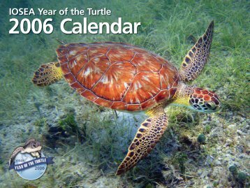 IOSEA Year of the Turtle - Indian Ocean - South-East Asian Marine ...