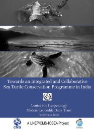 Here - Indian Ocean - South-East Asian Marine Turtle Memorandum