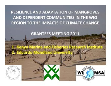 the relevance of mangroves in climate the relevance of mangroves in climate