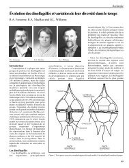 Ãvolution des dinoflagellÃ©s et variation de leur diversitÃ© dans le temps