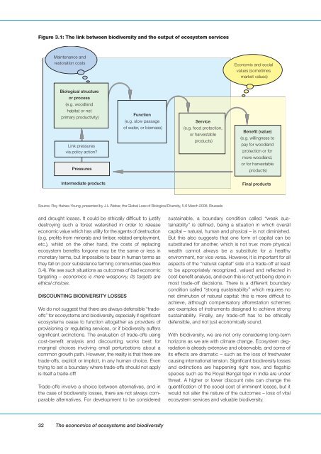 Interim Report - TEEB