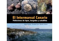 El Intermareal Canario - Iesmaritimopesquerolp.org