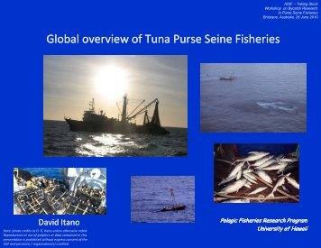 Global overview of Tuna Purse Seine Fisheries