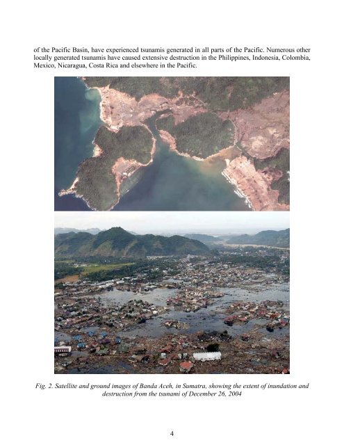vulnerabilities - strategies for mitigating impacts - Disaster Pages of ...