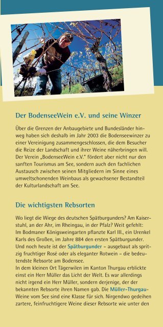 Die Weine - Bodenseewein.de