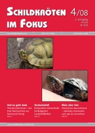 Mehr ... (PDF) - SchildkrÃ¶ten im Fokus