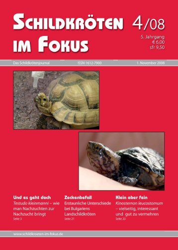 Mehr ... (PDF) - SchildkrÃ¶ten im Fokus