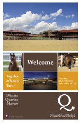 Vorarlberger Nachrichten vom 26. 09. 2008 - DÃ¼nser Quarter Horses