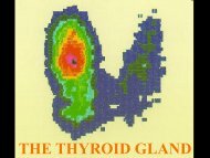 Thyroid gland