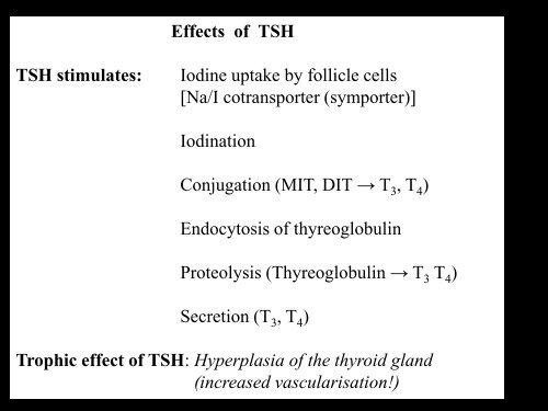 Thyroid gland