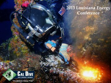 CalDive International (GOM Panel) - LouisianaEnergyConference.com