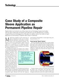 Case Study of a Composite Sleeve Application as Permanent ...