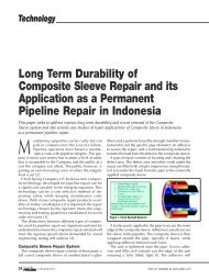 Long Term Durability of Composite Sleeve Repair and its ...